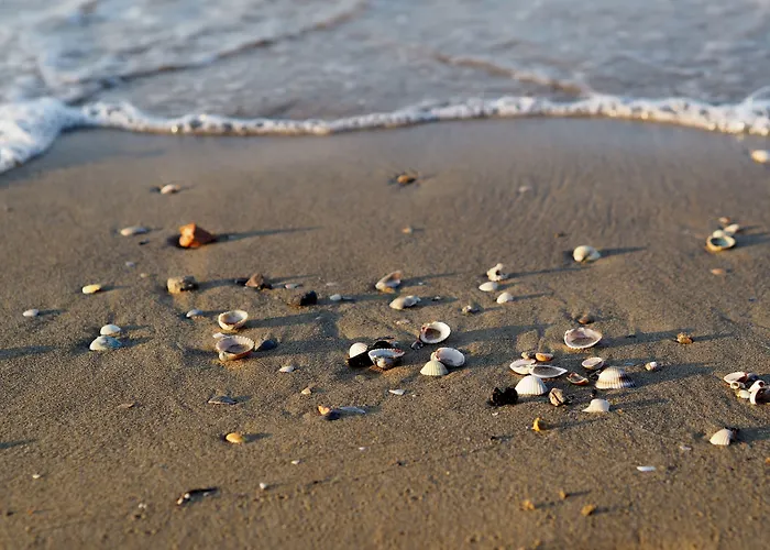 Comfortable In A Quiet Spot In